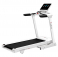 Беговая дорожка AMMITY Fashion FTM 5120 W - 1